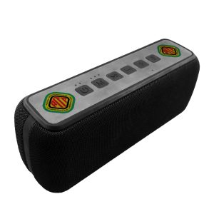 Environ 60W Wireless Speaker